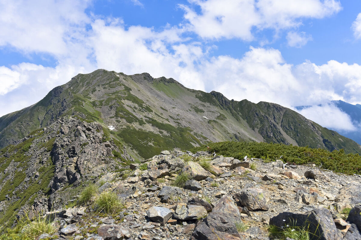 仙丈ヶ岳
