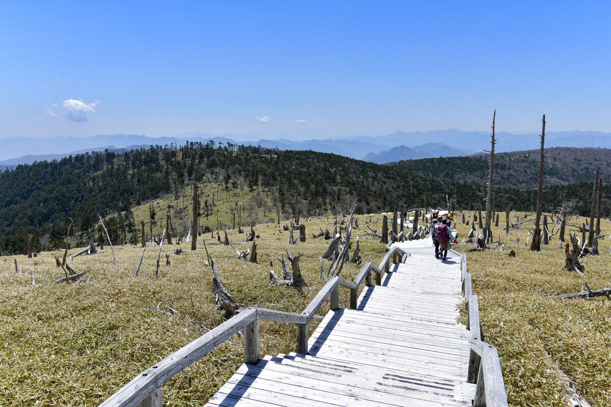 大台ヶ原山<日出ヶ岳>