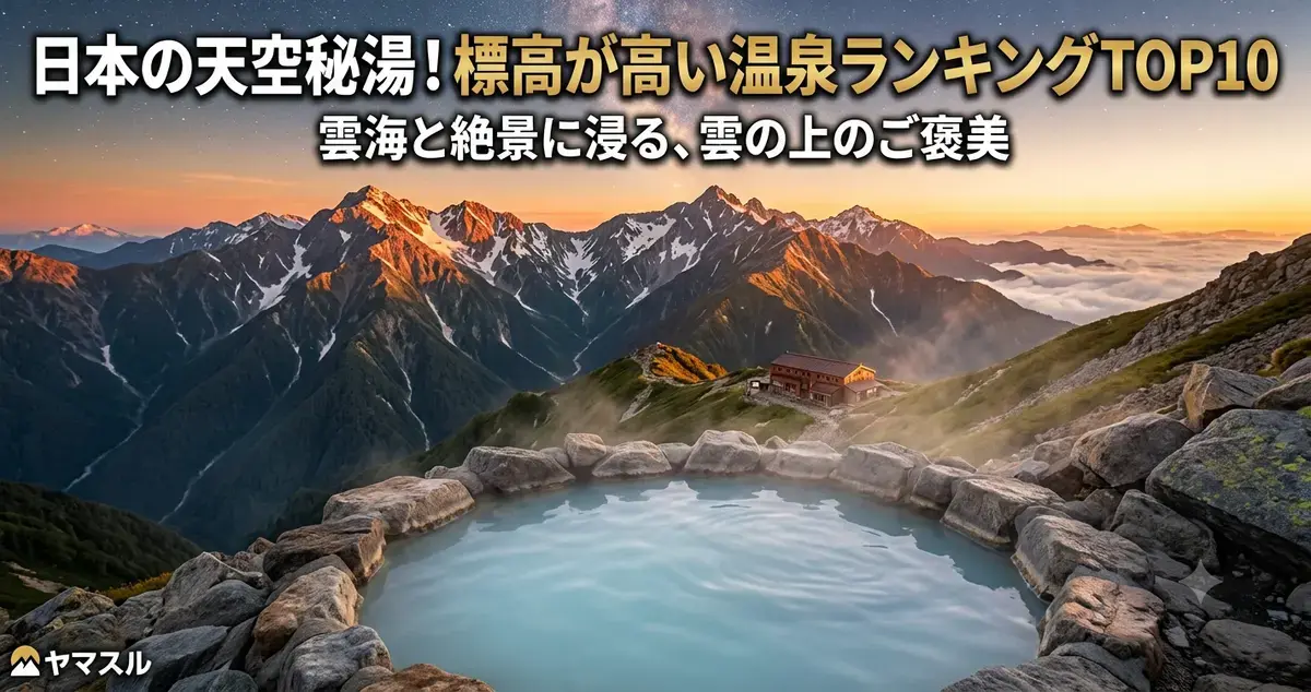 投稿写真