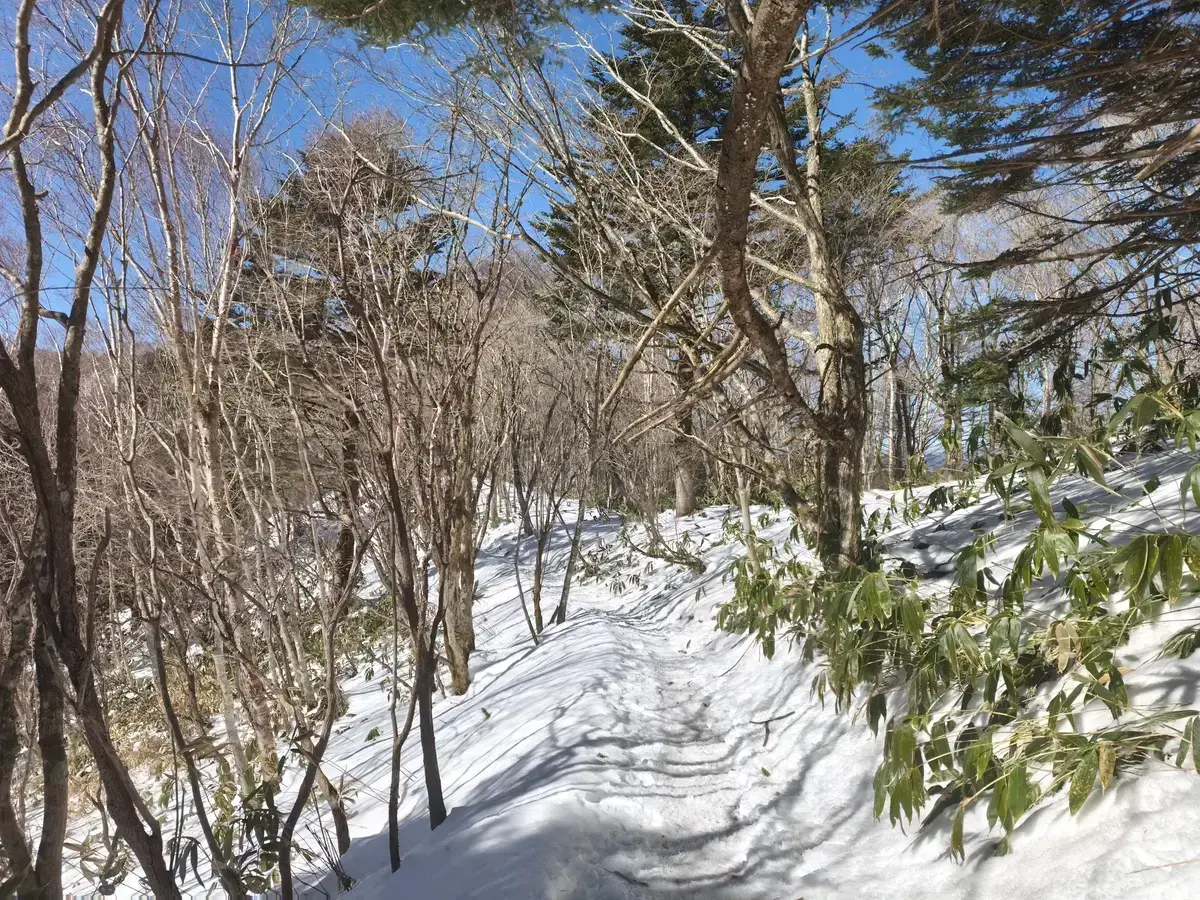 南沢山の投稿写真2